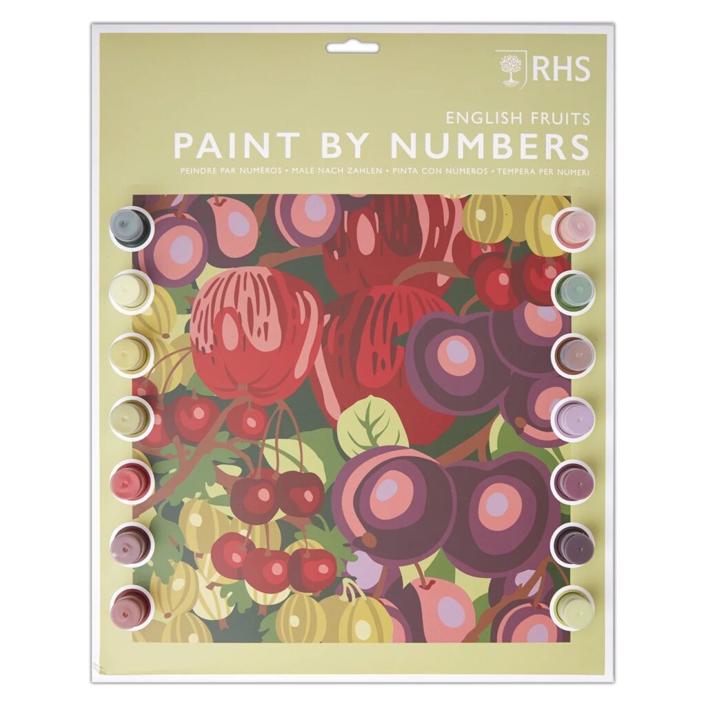 RHS English Fruit Paint By Numbers Kit 5029568020300 2